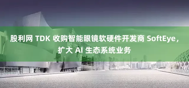 股利网 TDK 收购智能眼镜软硬件开发商 SoftEye，扩大 AI 生态系统业务